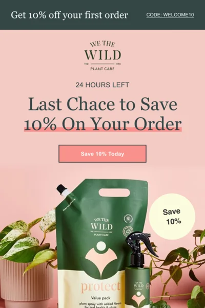 VIP customer email campaign for DTC brand