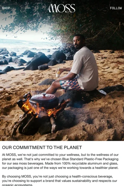 Ecommerce newsletter email template design